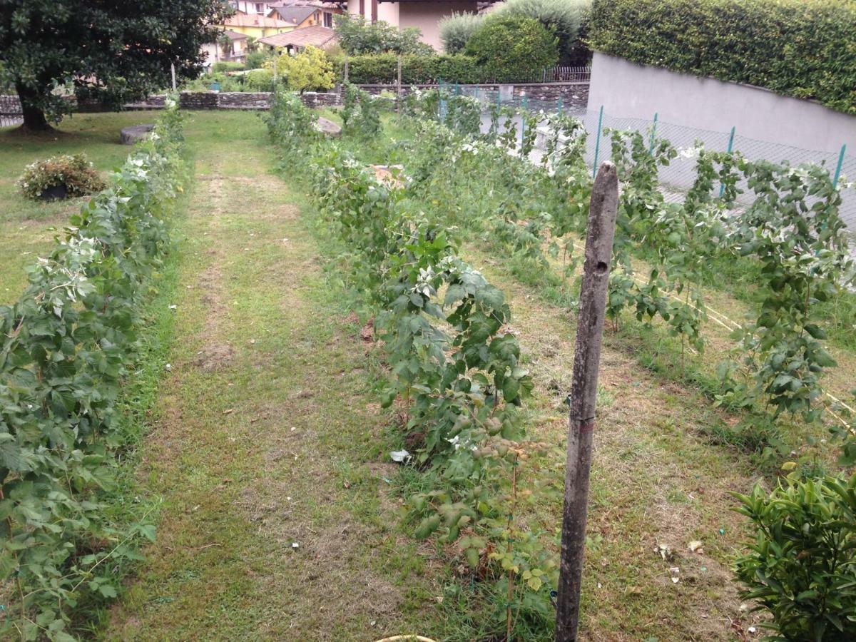 Agriturismo Badalone Domaso Exteriör bild